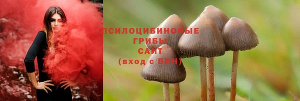 ALPHA-PVP Бородино