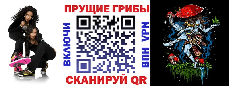 Купить  Павловский Посад  Галлюциногенные грибы мухоморы 